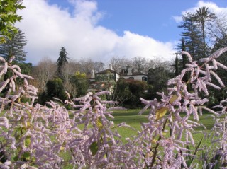 Blandys Garden